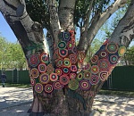 Астраханский тополь на Набережной Волги снова приодели