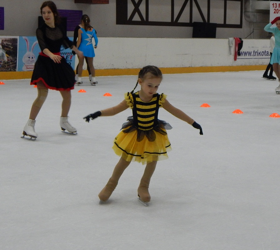 В ТРК "Три Кота" на ледовом катке прошел День зимних видов спорта