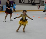 В ТРК "Три Кота" на ледовом катке прошел День зимних видов спорта