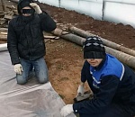 Под Астраханью в теплицах нашли нелегальных мигрантов