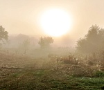 Завтра в Астраханской области будет много солнца и градусов 