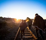 40 нелегальных мигрантов задержали в придорожных кафе под Астраханью