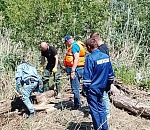 Вынесло на остров, завалило деревьями: завершились поиски астраханца, утонувшего в мае