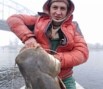 В Астрахани поймали такую рыбу, что не верится глазам: видео