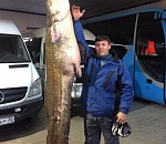 Пойманный в Астрахани гигант заставил местных жителей переживать 