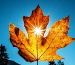 В пятницу погода в Астраханской области почти повторит четверговую: ночью - морозно, днем – выше +20°