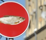 В субботу в Астрахани перекроют одну из улиц