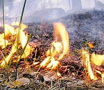 В Астраханской области до середины недели действует штормовое предупреждение