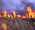 В Астрахани может появиться запах гари из-за пожара в заповеднике