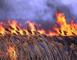 В Астрахани может появиться запах гари из-за пожара в заповеднике