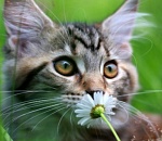 Астраханцев ждет теплая и солнечная среда