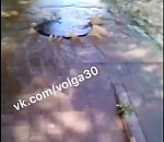 В Астрахани на видео попал фекальный потоп