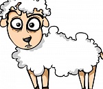 Путешествие овец из Казахстана в Питер оборвалось на Астрахани