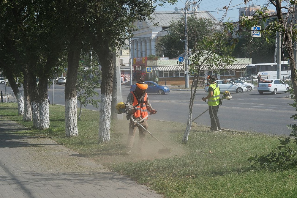 Власти Астрахани усилили борьбу с сорняками