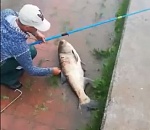 Ливень не помеха: астраханец поймал громадного толстолобика