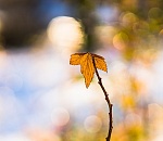 В Астрахань идет ноябрьское потепление