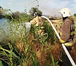 Вчера на пожарах в Астраханской области один пенсионер погиб, а другой получил ожоги