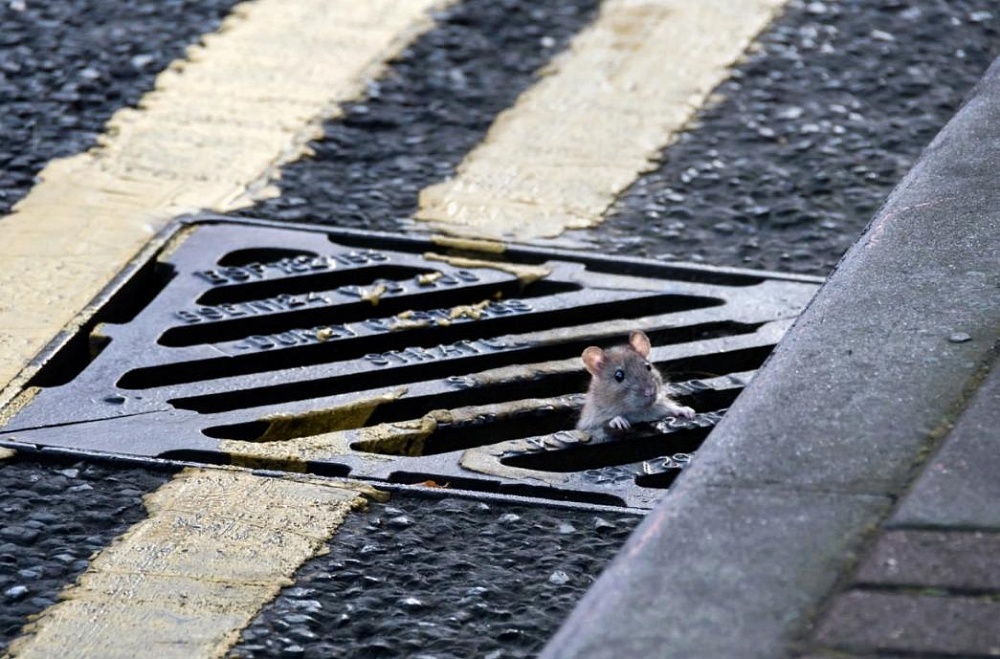 Почему ремонт астраханской ливневки начнется с улиц Бурова, Харьковская и площади Карла Маркса