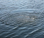 В Астраханской области нашли тело утонувшего рыбака