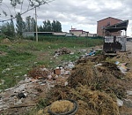 Правота не вывозит: как юридическая безупречность плодит в Астрахани нелегальные свалки