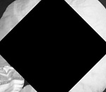 Астраханец заплатит штраф за демонстрацию в соцсети нацистской символики 