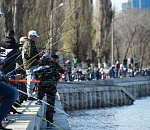 ЛУКОЙЛ в очередной раз стал главным партнером рыбацкого фестиваля «Вобла»