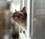 В Астрахани всю неделю будет тепло