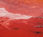 В Астраханской области сфотографировали марсианскую реку