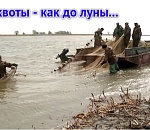 Ловись хоть что-то: Астраханская область может установить новый антирекорд по вылову рыбы