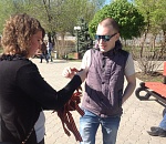 Астраханцам раздадут 40 тысяч георгиевских ленточек