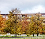 Завтра в Астраханской области будет так же тепло и безветренно, как последние два дня