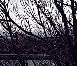 Прогноз на первый рабочий день года: около ноля