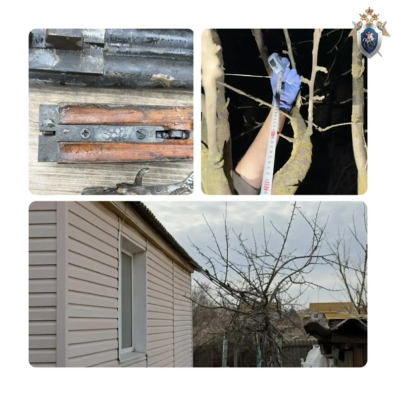 Астраханец, устав от ссор соседей, решил устранить проблему радикальным способом