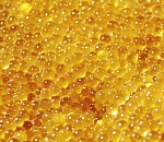 140 килограммов щучьей икры из Казахстана не смог провезти  через границу астраханец