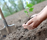 В Астрахани продолжится благоустройство Аллеи семьи 