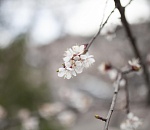 В Астраханской области похолодает до ноля градусов