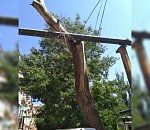 В Астрахани сухое дерево не выдержало и упало на трубу и машину