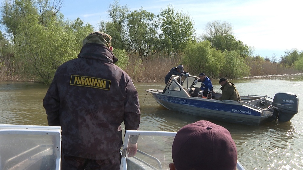 В Астраханской области рыбаки-любители нарушают правила по-жесткому