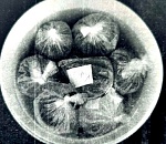 Астраханцу, хранившему 33 кг осетровой икры без маркировки, придется оплатить штраф в четверть миллиона