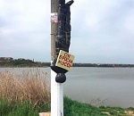 Фото дня: выкинул мусор на природе - будешь привязан к позорному столбу