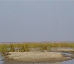 Записки астраханского натуралиста. Почему мелеет авандельта Волги