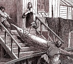 Чем жили. Здесь рыбный дух, здесь рыбой пахнет