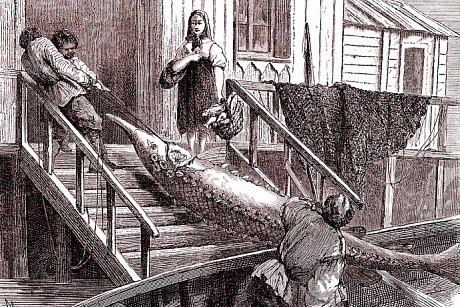 Чем жили. Здесь рыбный дух, здесь рыбой пахнет