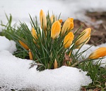 Завтра в Астрахани тепло и без осадков