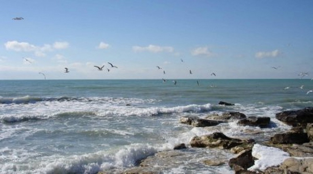 Госдума ратифицировала соглашение о сохранении биоресурсов Каспия