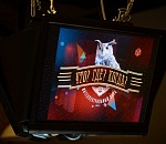 Астраханка выиграла крупную сумму денег у знатоков знаменитой телеигры