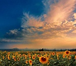 Астраханская погода в августе