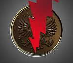 Депутаты нашли у медали «Отцовская слава» обратную сторону