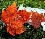 Астраханская погода в ноябре