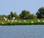 Астраханская область в топ-10 регионов России для весеннего туризма